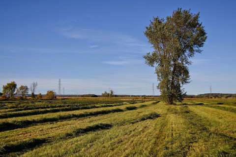 Ferme sur le Vieux Chemin de Ligne